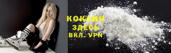 прущие грибы Абаза