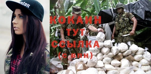 прущие грибы Абаза