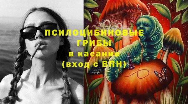 прущие грибы Абаза