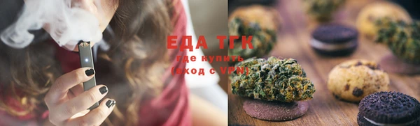 прущие грибы Абаза