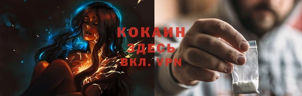 прущие грибы Абаза