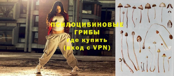 тгк Абдулино
