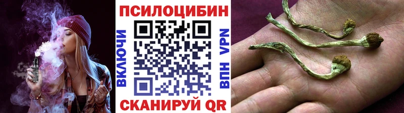 Галлюциногенные грибы прущие грибы Лысково